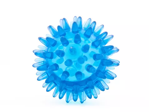 Wirusowe zapalenie mózgu - przyczyny, objawy, diagnoza, leczenie