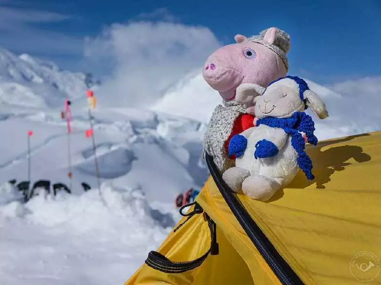 To trzeba przeżyć samemu - wyprawa podróżników dedykowana dzieciom z SMA