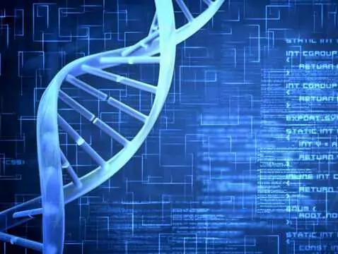 3 grudnia przypada Światowy Dzień Osób Chorych na Zespół Marfana