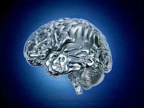 Plastyczność struktur mózgu