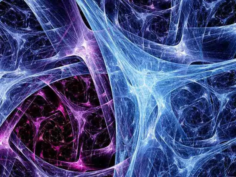 Jak grzyby adaptogenne wpływają na układ nerwowy?