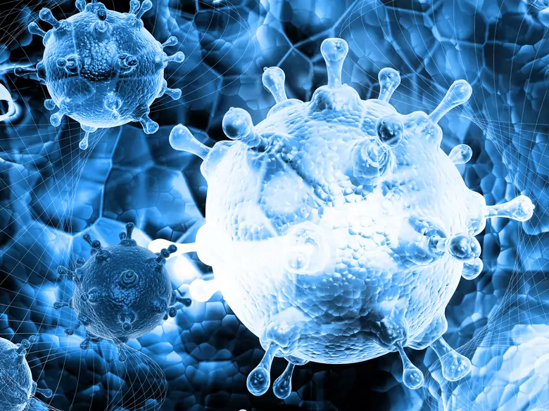 Wirus Nipah: globalne zagrożenie czy globalna sensacja?